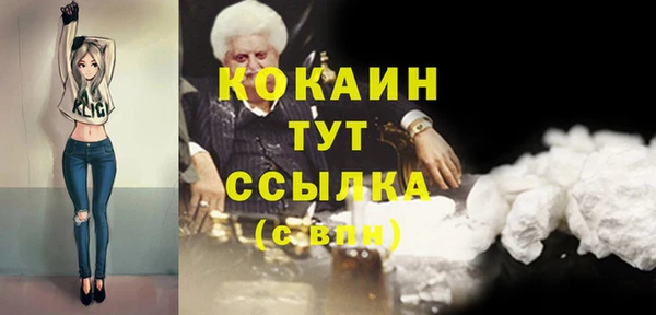 винт Верея