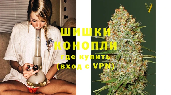 винт Верея